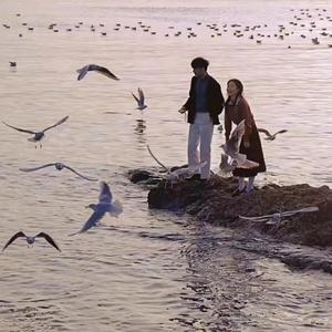 500第一导航亚洲精品导航
