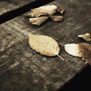 500第一导航亚洲精品导航
